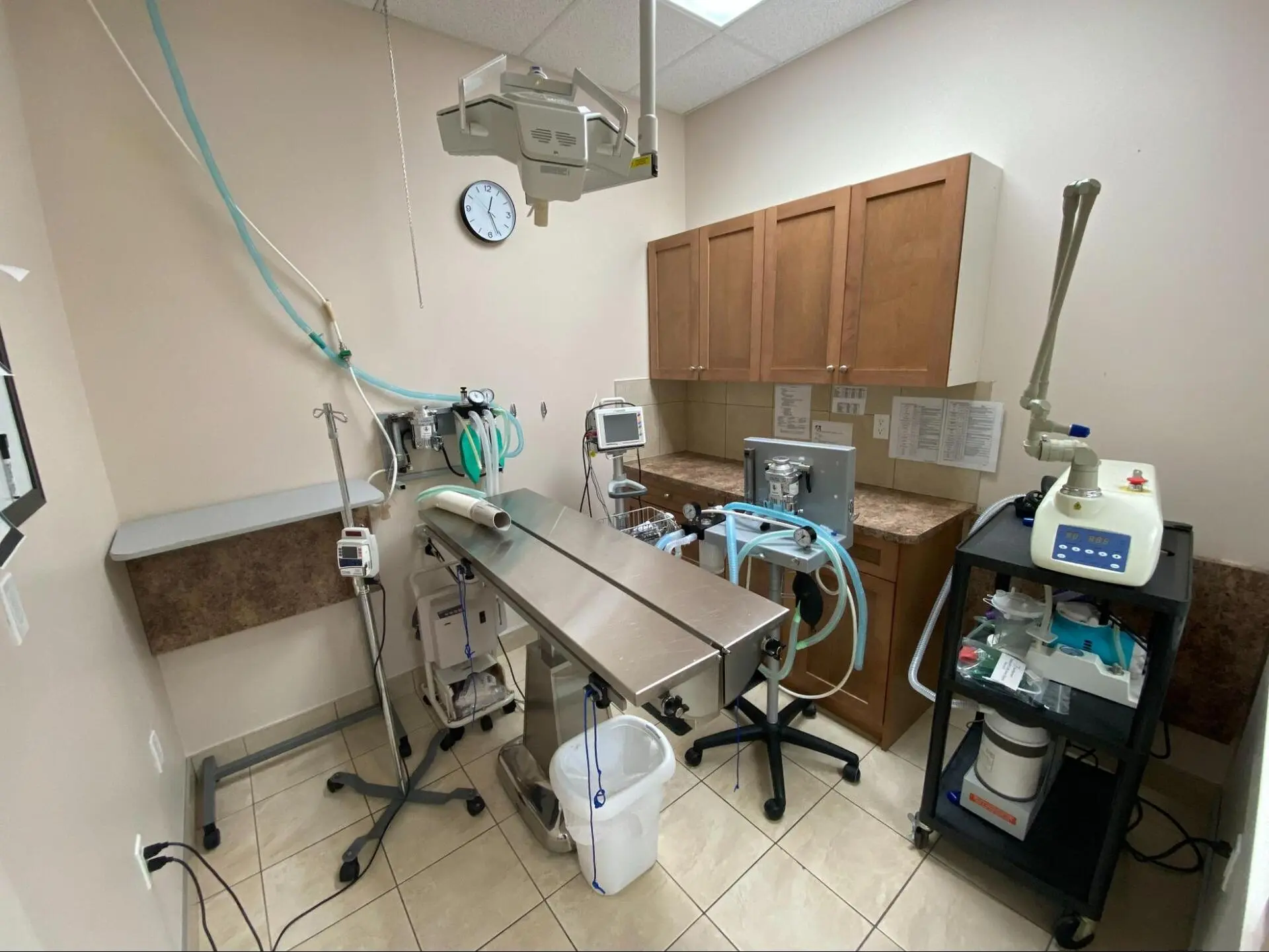 Panorama Hills Animal Hospitals Operating Room