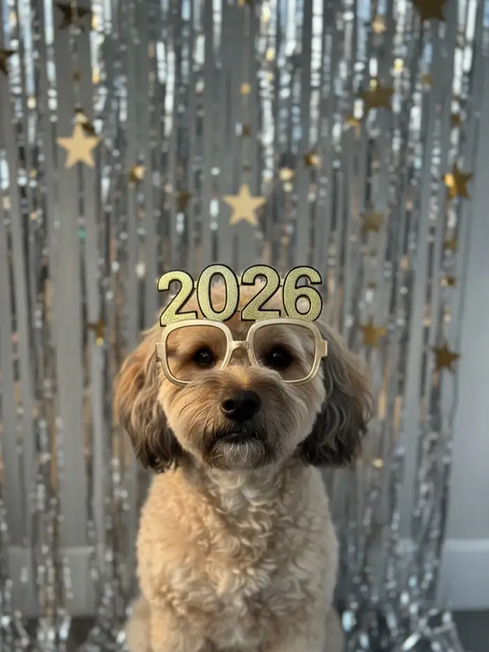 A dog wearing 2026 New Year's glasses