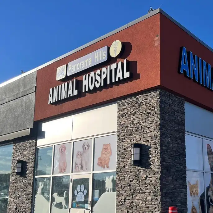 Panorama Hills Animal Hospital, seen from the parking lot