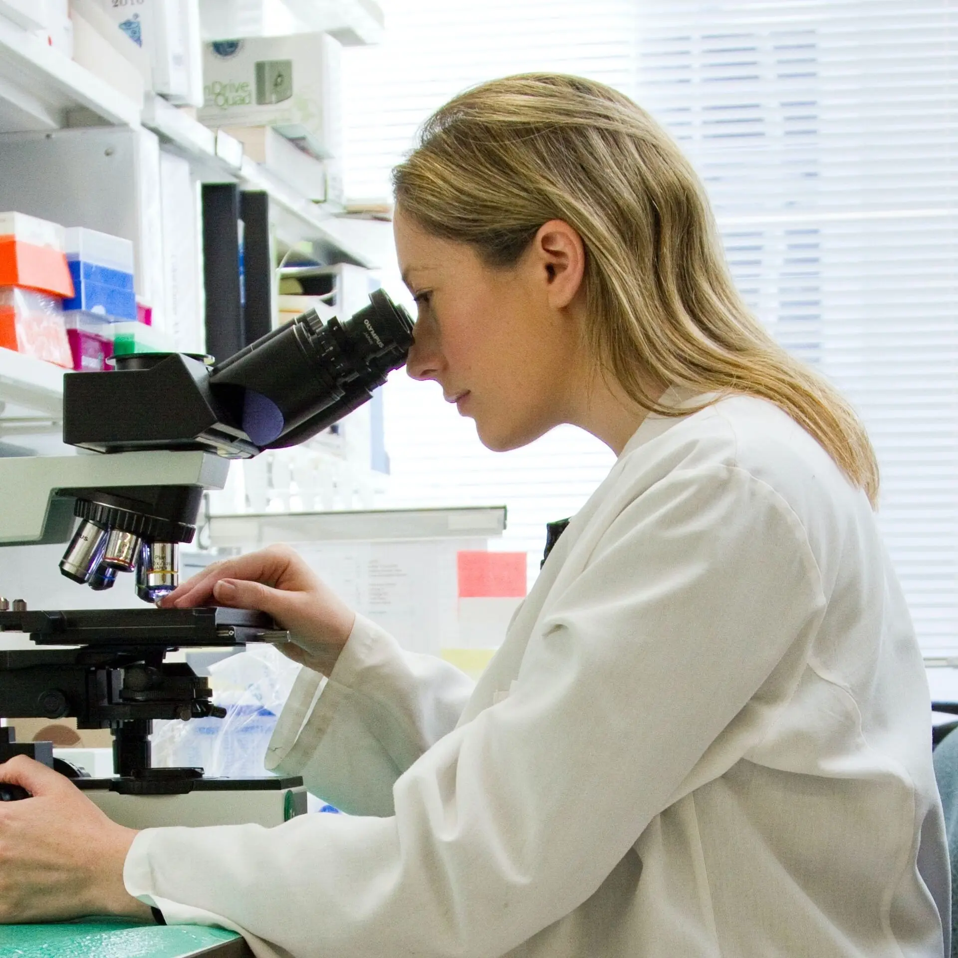 In-House Laboratory At Panorama Hills Animal
                            Hospital